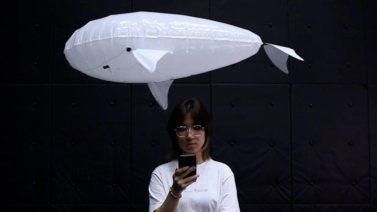 認識這款為安全、友好人類互動而設計的漂浮機器人夥伴