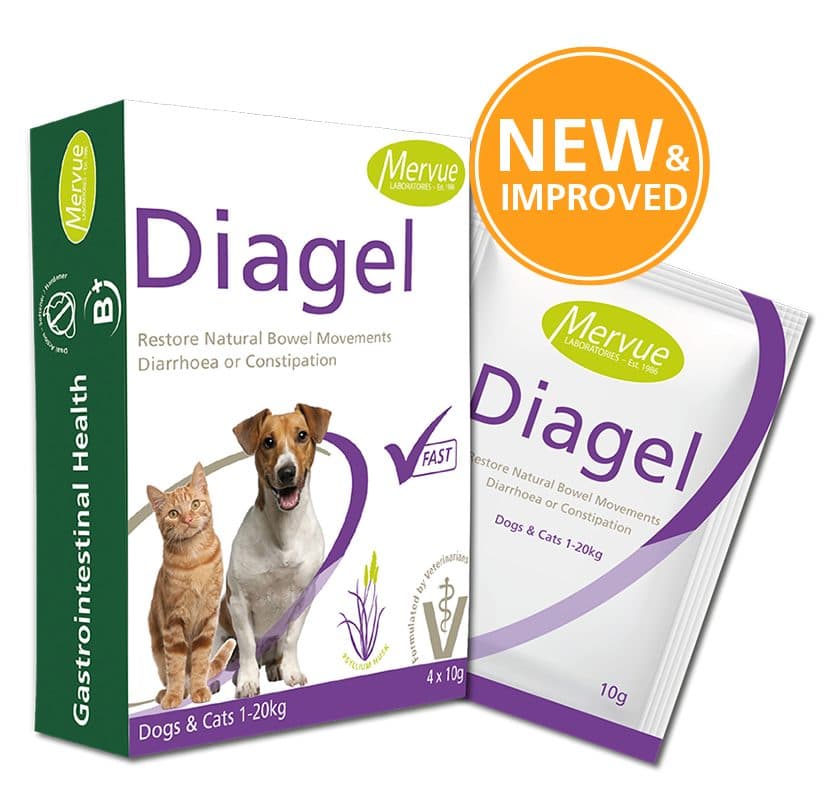 Mervue Diagel 濃縮飼料腸道調節劑(貓狗用)